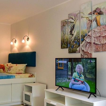 Stilingi Apartamentai Su Virtuve Traku Miesto Centre Тракай Экстерьер фото