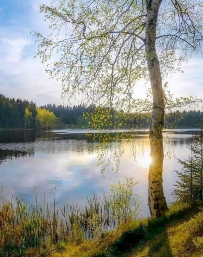 Stilingi Apartamentai Su Virtuve Traku Miesto Centre Тракай Экстерьер фото