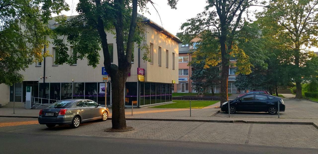 Stilingi Apartamentai Su Virtuve Traku Miesto Centre Тракай Экстерьер фото